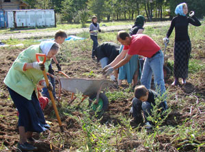 Фото. Поселок Тигровый. Подсобное хозяйство Православной гимназии г. Владивостока, на полях которого гимназисты собрали 150 мешков картофеля