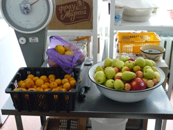 Фото. Владивосток, молодежь Успенского храма подарила фрукты детскому дому