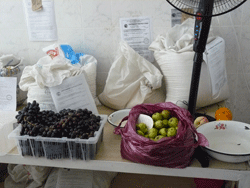 Фото. Владивосток, молодежь Успенского храма подарила фрукты детскому дому