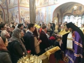 В ходе первого архипастырского визита в Венско-Австрийскую и Венгерскую епархии епископ Подольский Тихон провел ряд встреч с государственными и религиозными деятелями