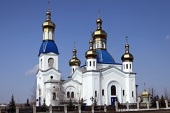 40 тонн продуктов Церковь передала мирным жителям Ровеньковской и Луганской епархий