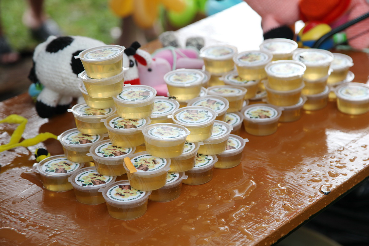 В Приморье состоялся четвёртый фестиваль «Анучино – медовое раздолье» (+ Фото)