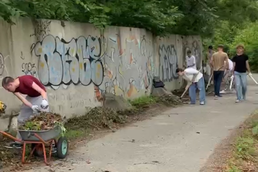 Молодежка начинает новый проект: СТЕНА